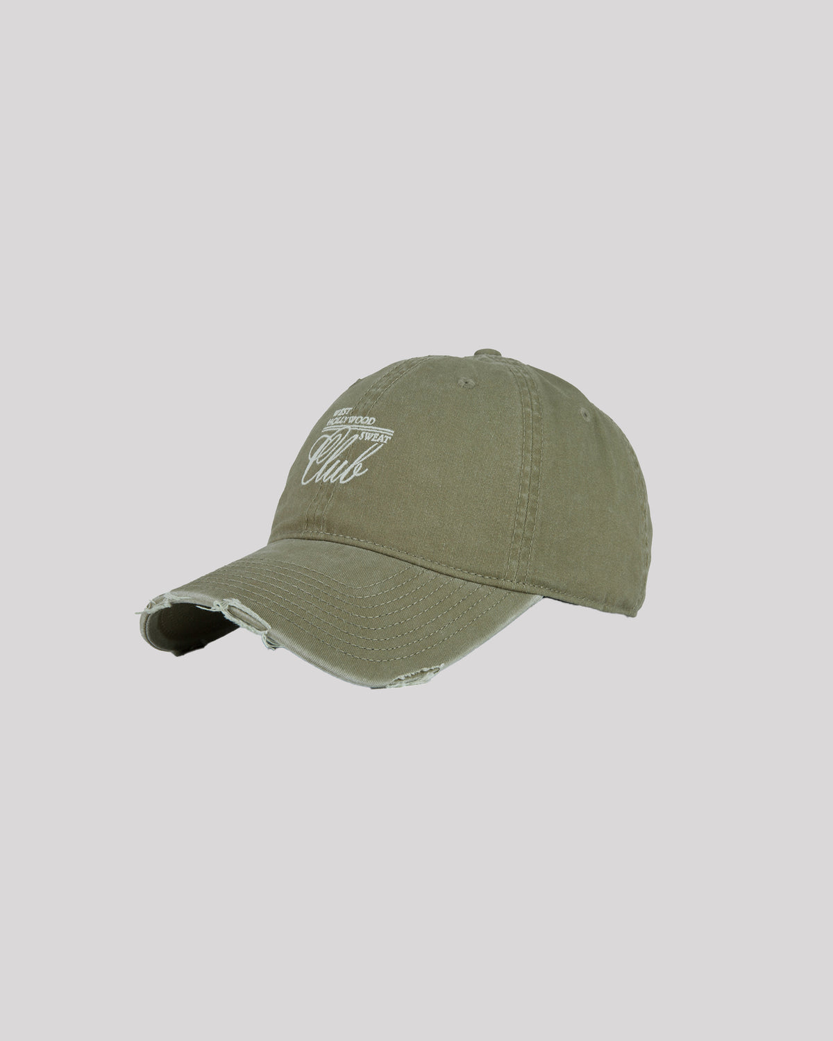 WWHS011.DSAN_2_1742792093000